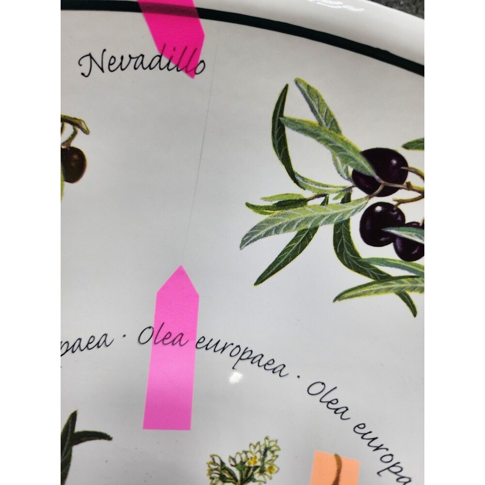 Williams Sonoma Large Olives Pasta Serving Bowl Approx 12.75" (READ!!!) - Picture 13 of 16
